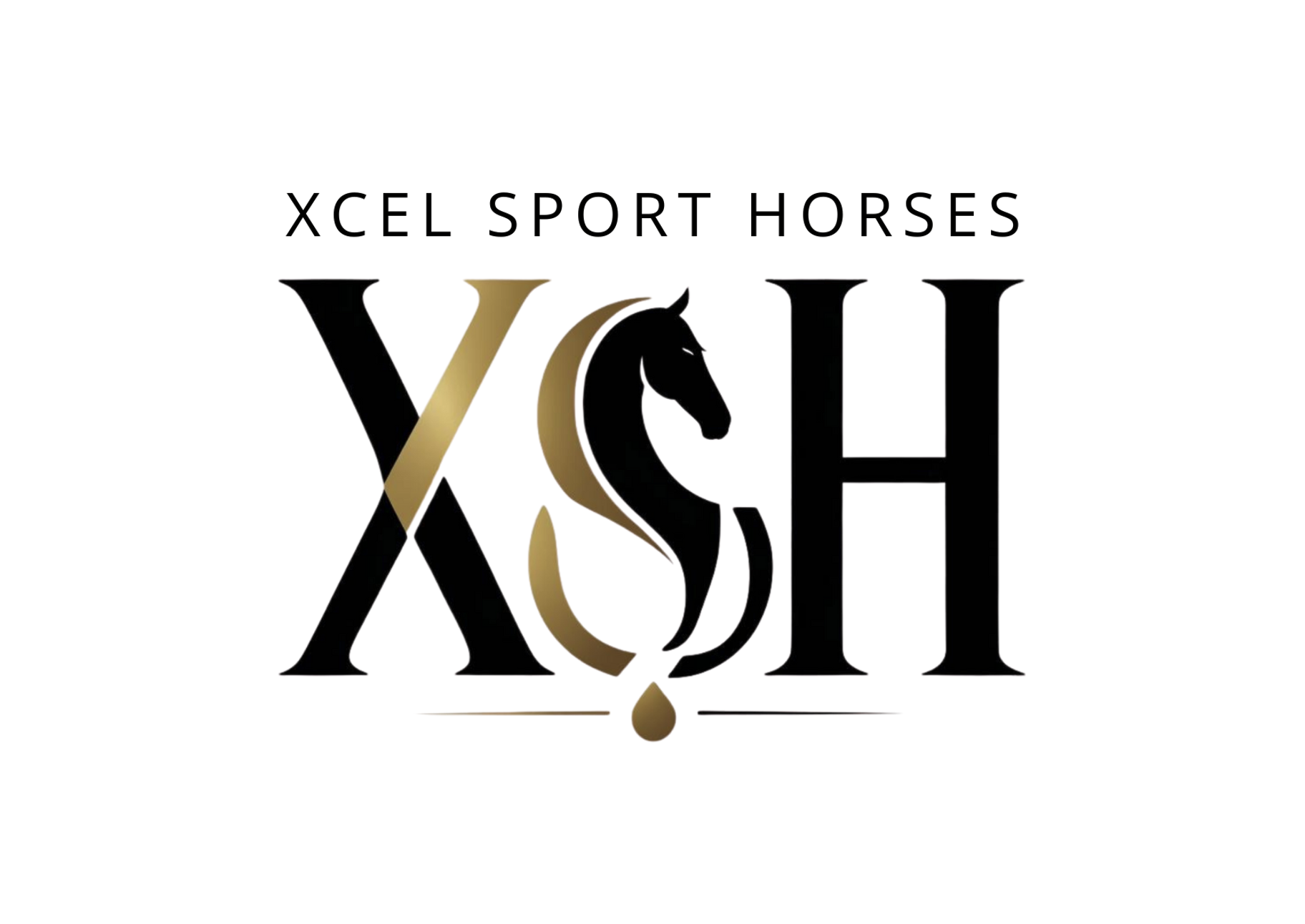 Xcel Sport Horses Logo