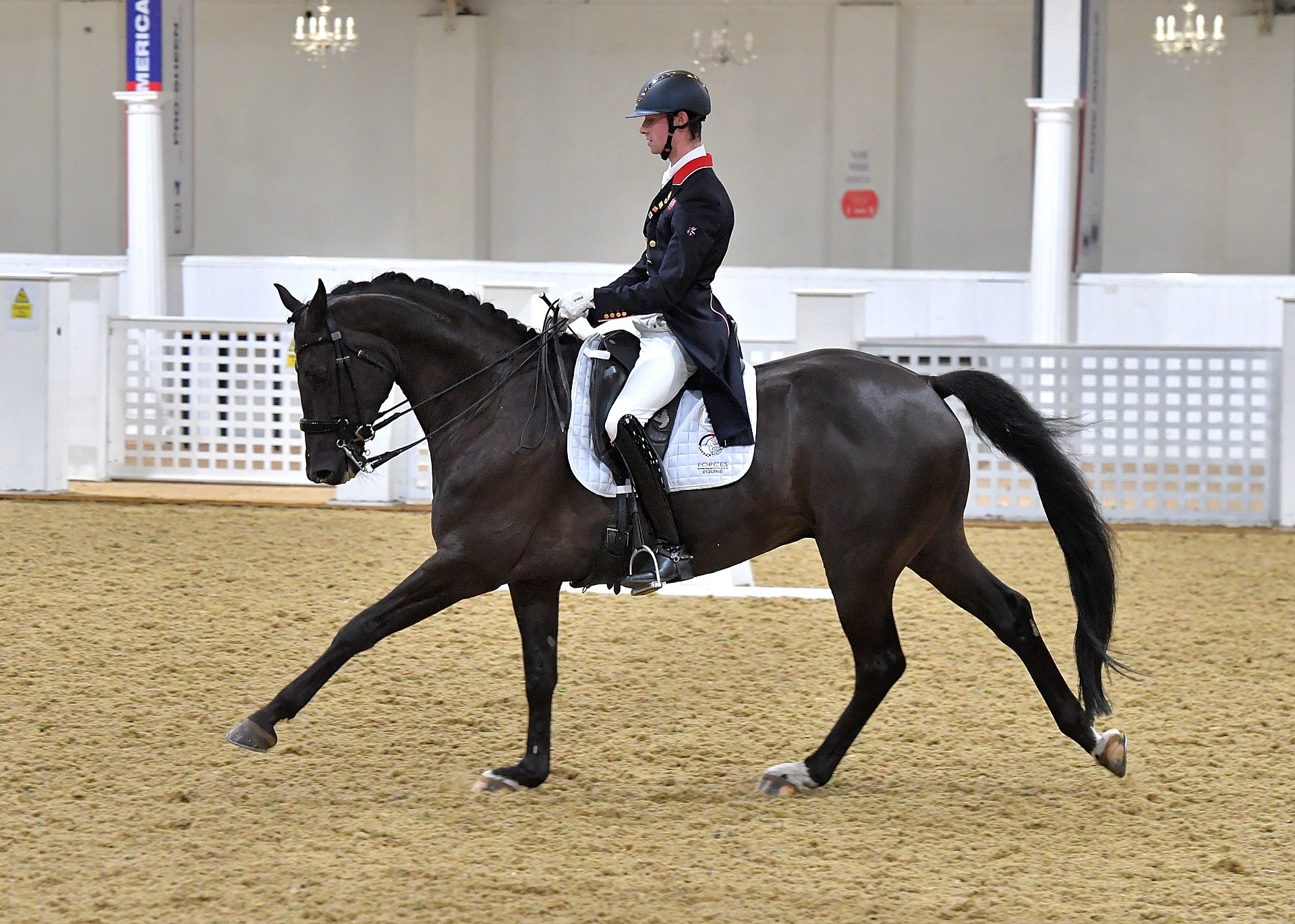 Forces Equine Games