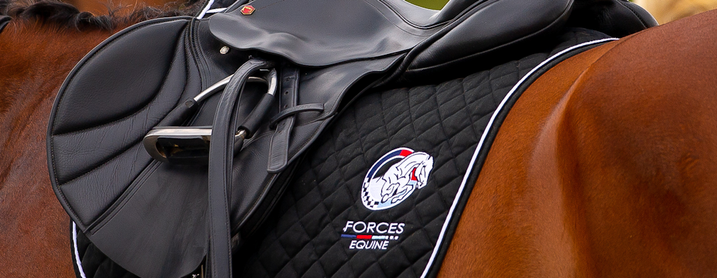 Bloomfields Horseboxes Handy Horse/Pony class announced!