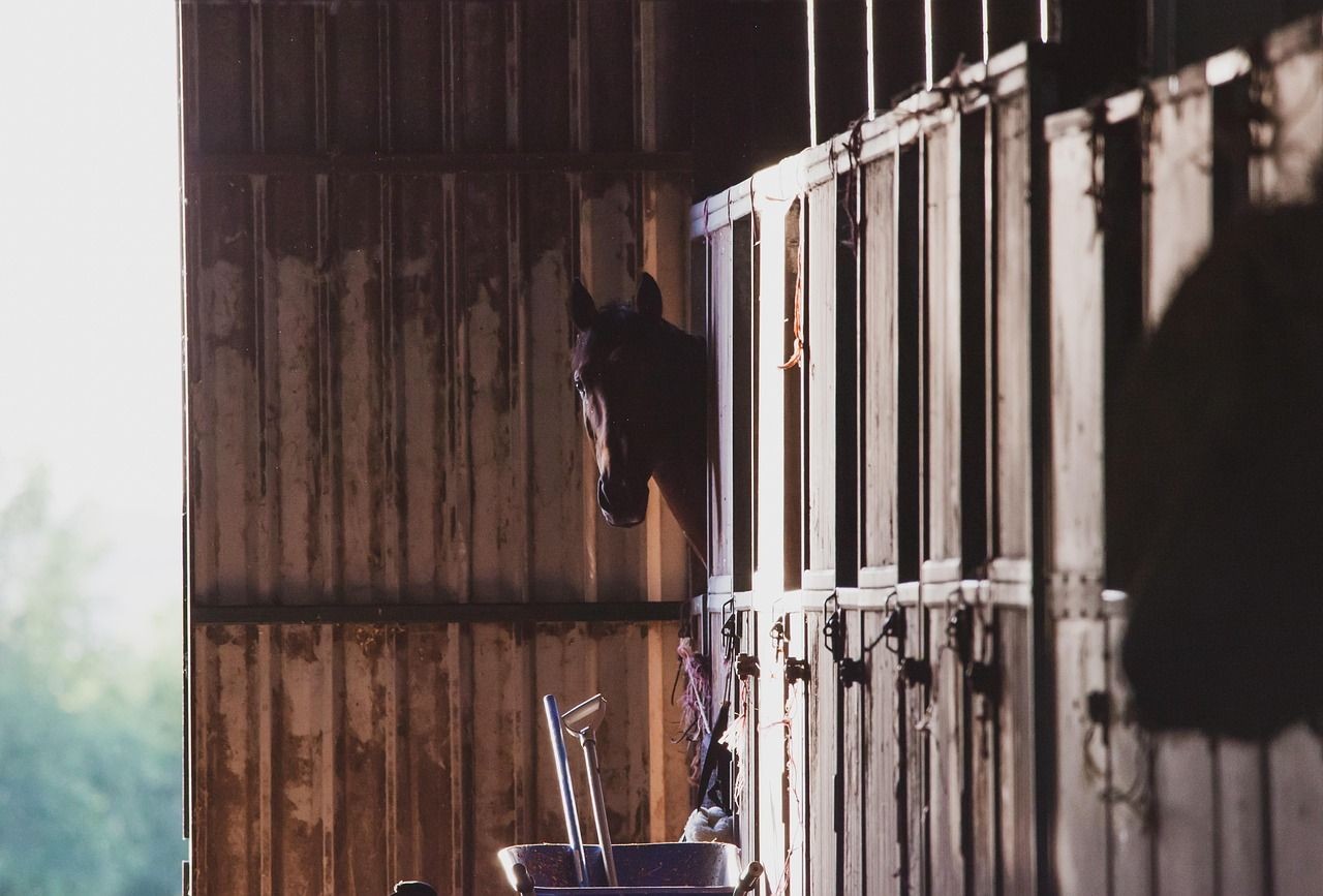 Stabling for #FEG2025 is now open!