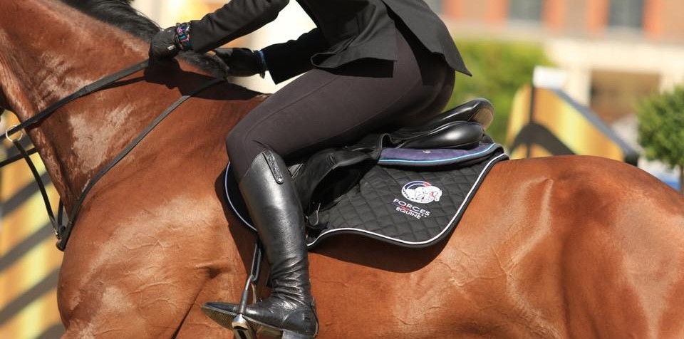 Equine military event held at Wellington Riding
